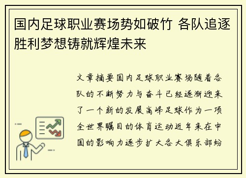 国内足球职业赛场势如破竹 各队追逐胜利梦想铸就辉煌未来